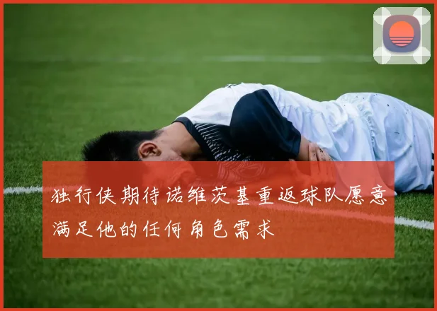 独行侠期待诺维茨基重返球队愿意满足他的任何角色需求