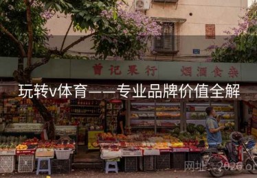玩转v体育——专业品牌价值全解