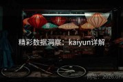 精彩数据洞察：kaiyun详解
