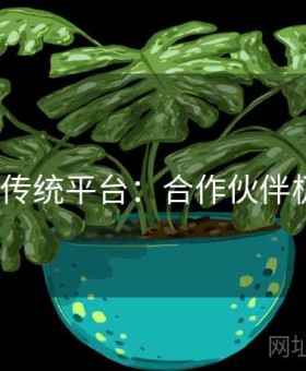 v体育vs传统平台：合作伙伴极速攻略