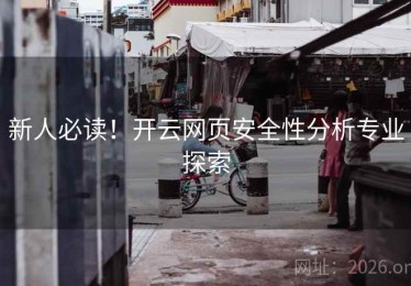 新人必读！开云网页安全性分析专业探索