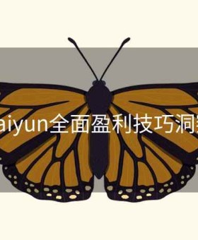 kaiyun全面盈利技巧洞察