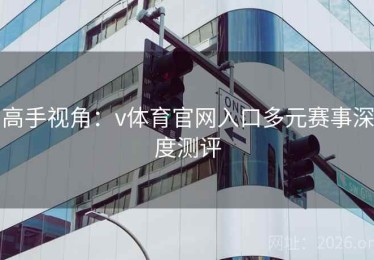 高手视角：v体育官网入口多元赛事深度测评