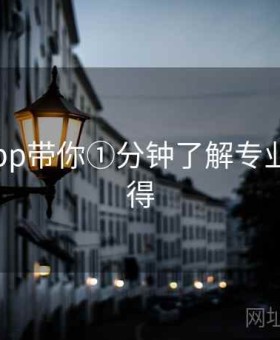 v体育app带你①分钟了解专业高手心得