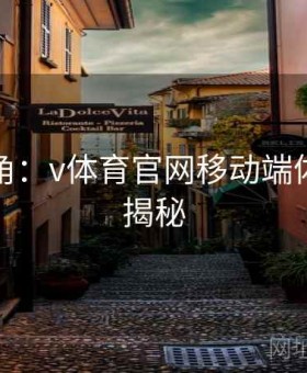 高手视角：v体育官网移动端体验终极揭秘