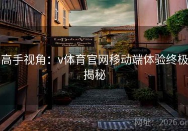 高手视角：v体育官网移动端体验终极揭秘