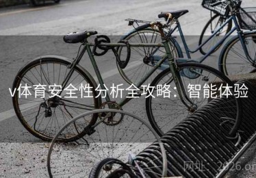 v体育安全性分析全攻略：智能体验