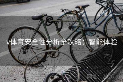 v体育安全性分析全攻略：智能体验