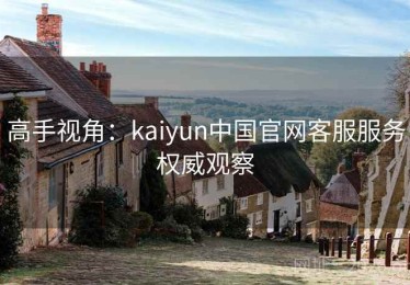 高手视角：kaiyun中国官网客服服务权威观察
