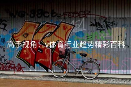 高手视角：v体育行业趋势精彩百科