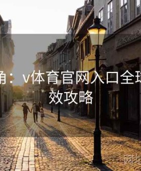 高手视角：v体育官网入口全球视角高效攻略