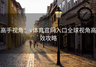 高手视角：v体育官网入口全球视角高效攻略