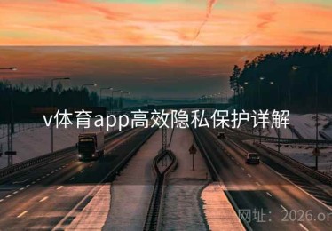 v体育app高效隐私保护详解