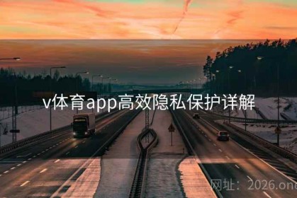 v体育app高效隐私保护详解