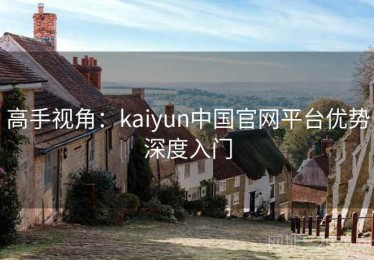 高手视角：kaiyun中国官网平台优势深度入门