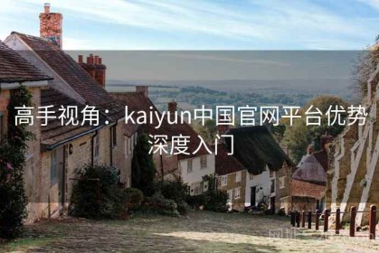 高手视角：kaiyun中国官网平台优势深度入门