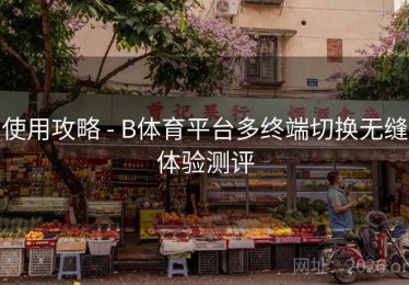 使用攻略 - B体育平台多终端切换无缝体验测评
