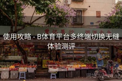 使用攻略 - B体育平台多终端切换无缝体验测评
