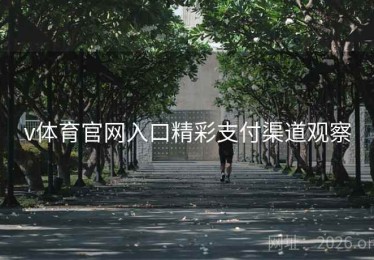 v体育官网入口精彩支付渠道观察