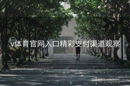 v体育官网入口精彩支付渠道观察