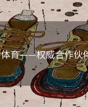 玩转v体育——权威合作伙伴百科