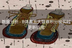 数据分析 - B体育五大联赛积分榜实时更新指南