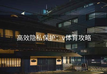 高效隐私保护：v体育攻略