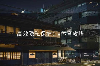 高效隐私保护：v体育攻略