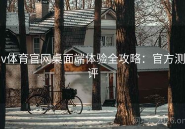 v体育官网桌面端体验全攻略：官方测评