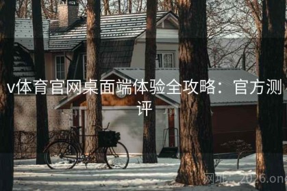 v体育官网桌面端体验全攻略：官方测评
