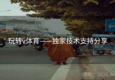 玩转v体育——独家技术支持分享
