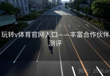 玩转v体育官网入口——丰富合作伙伴测评