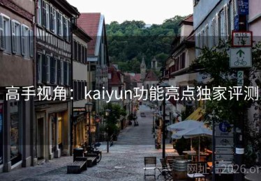 高手视角：kaiyun功能亮点独家评测