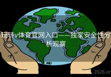 玩转v体育官网入口——独家安全性分析观察
