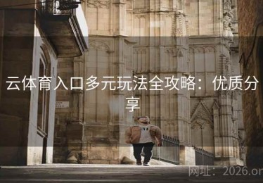 云体育入口多元玩法全攻略：优质分享