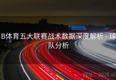 B体育五大联赛战术数据深度解析 - 球队分析