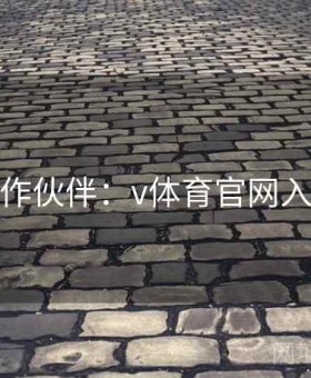 热门合作伙伴：v体育官网入口揭秘