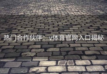 热门合作伙伴：v体育官网入口揭秘