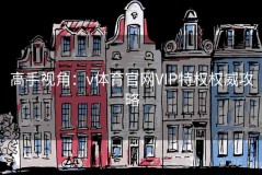 高手视角：v体育官网VIP特权权威攻略
