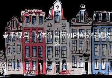 高手视角：v体育官网VIP特权权威攻略