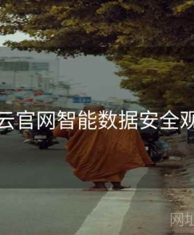 开云官网智能数据安全观察