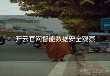 开云官网智能数据安全观察