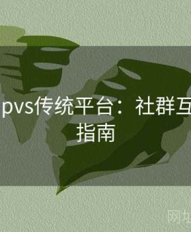 开云appvs传统平台：社群互动便捷指南