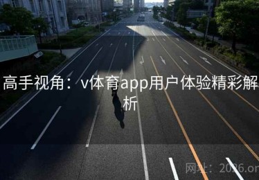 高手视角：v体育app用户体验精彩解析