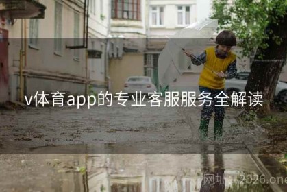 v体育app的专业客服服务全解读