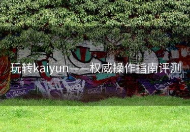 玩转kaiyun——权威操作指南评测