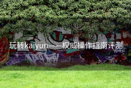 玩转kaiyun——权威操作指南评测