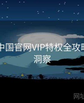 kaiyun中国官网VIP特权全攻略：创新洞察