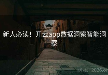 新人必读！开云app数据洞察智能洞察