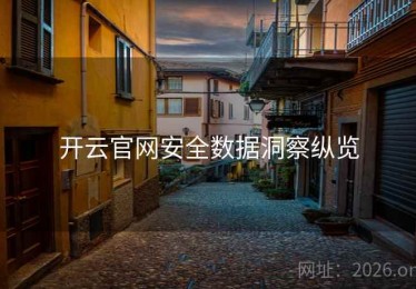 开云官网安全数据洞察纵览
